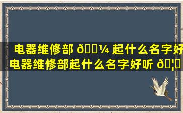电器维修部 🌼 起什么名字好(电器维修部起什么名字好听 🦅 点)